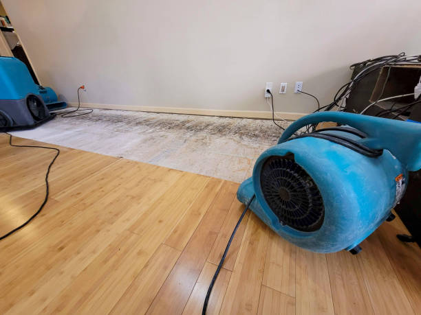 Professional Sewage Cleanup technician working in Beloit, OH
